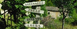 barrancos-carteles